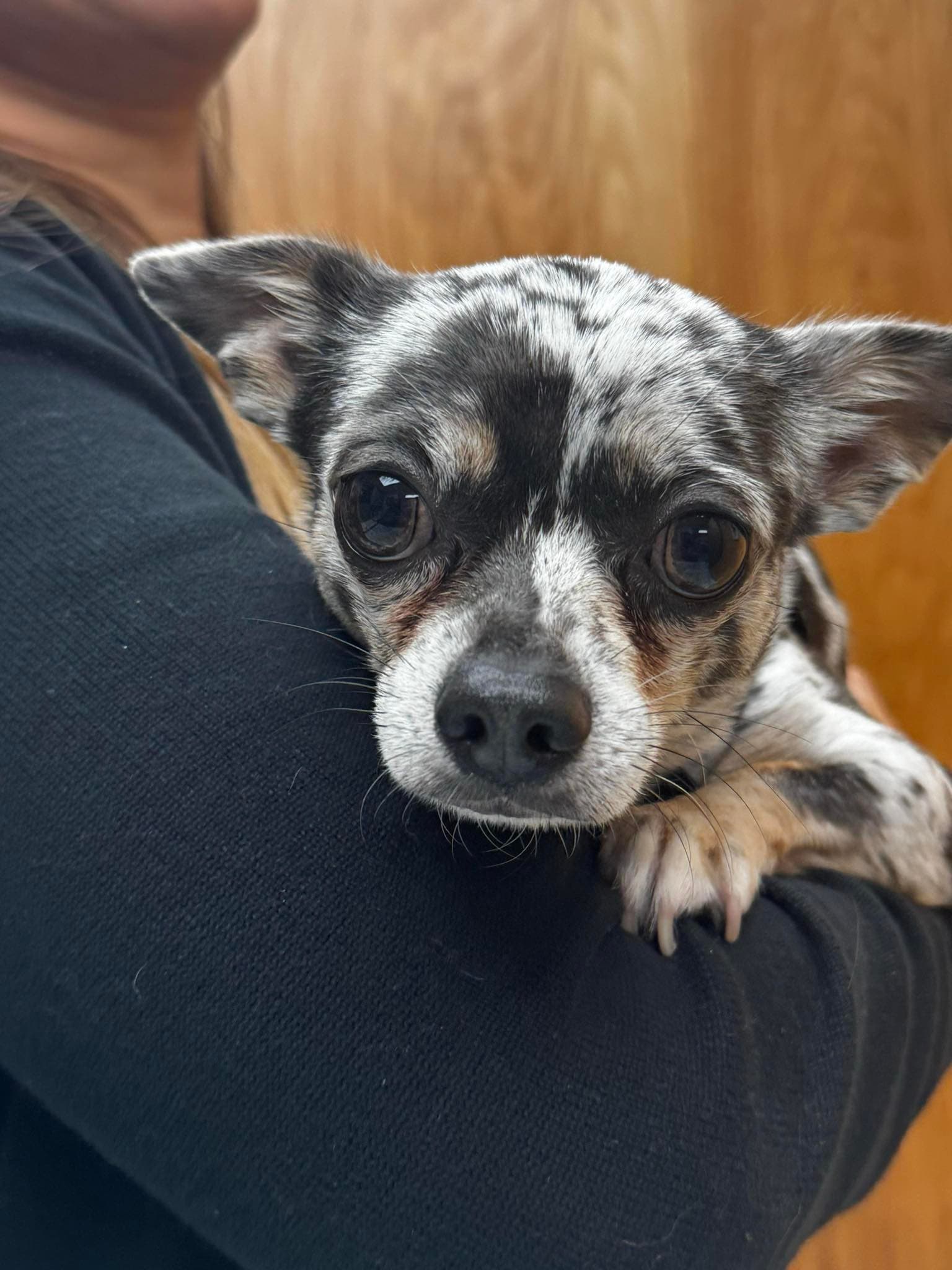 Vomiting & Diarrhea Photo